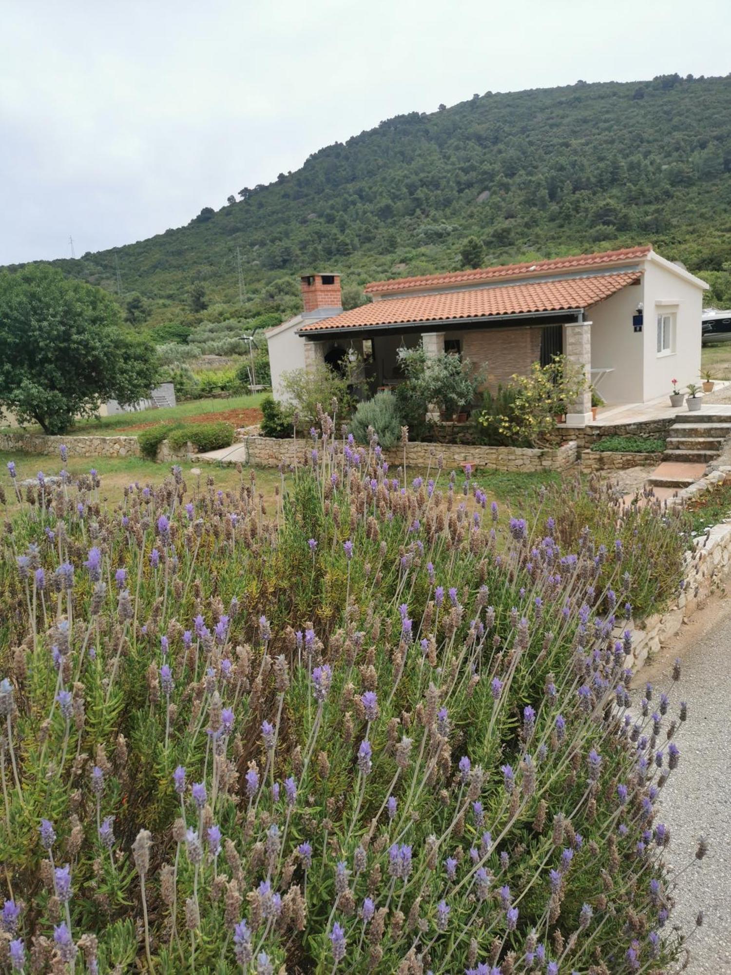 Holiday Home Cvitka Vis Exterior photo
